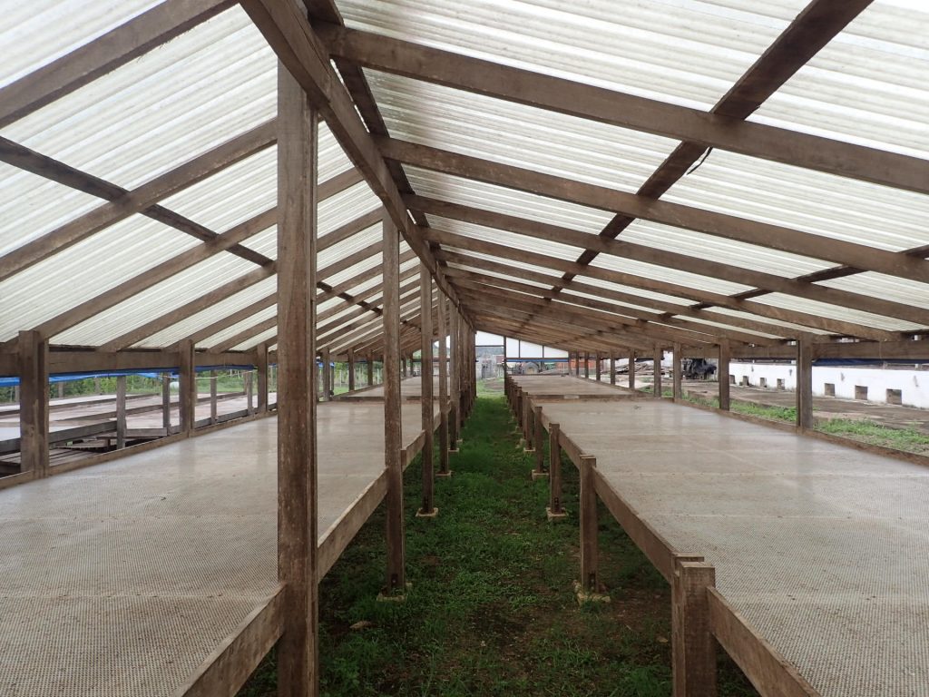 Xibun Drying August 2016