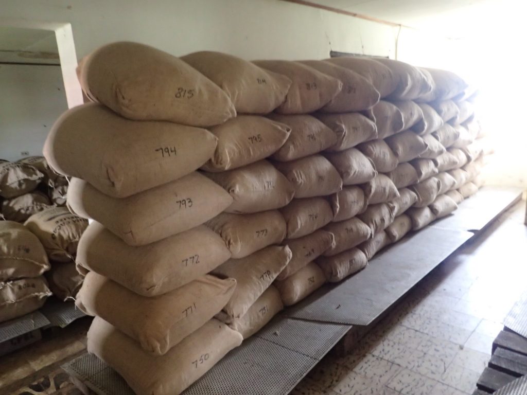 Xibun Storage August 2016